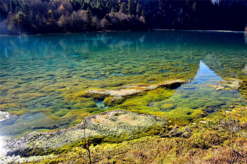 置身于童话中的九寨沟,畅游人间仙境黄龙九寨沟七日游