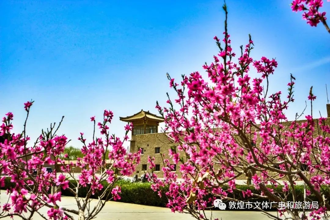 五一敦煌山庄,敦煌山庄风格