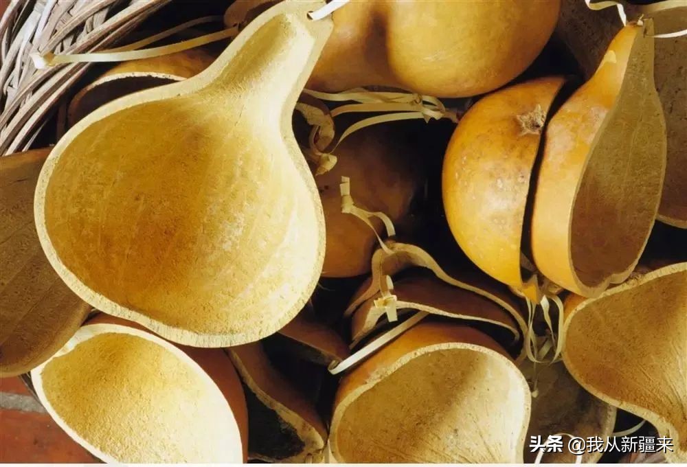 生活能手小葫芦，是*疆新**艺术的“灵感缪斯”