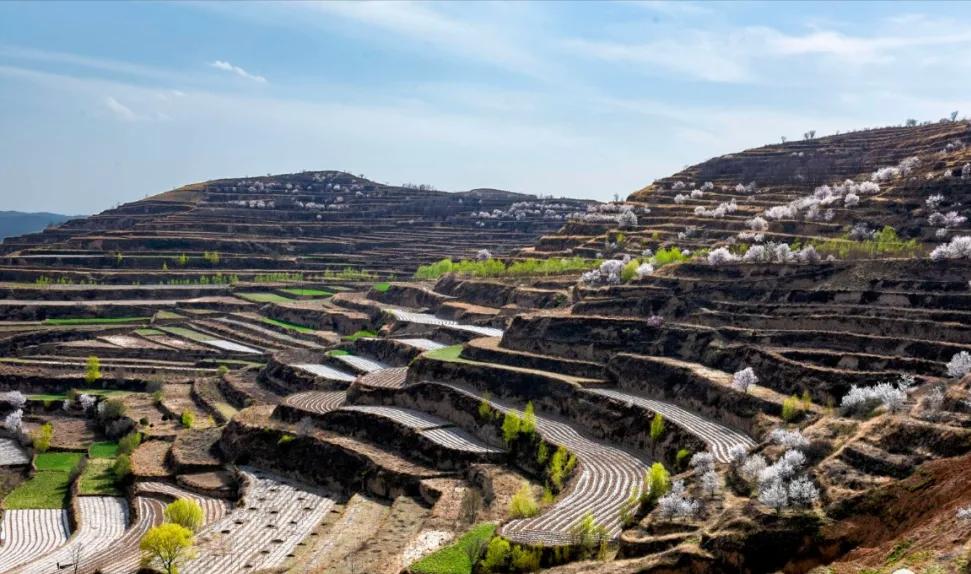 梯田绘本故事,梯田背景故事