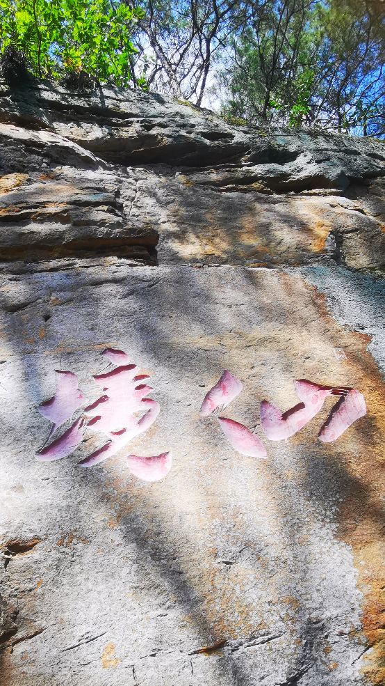 青秀山有什么独特之处,青秀山里有什么美景