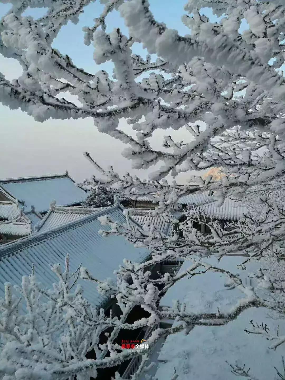 此刻泰山成了雪国,美到无言!高清美图来袭,“雪国的列车”即刻发车!