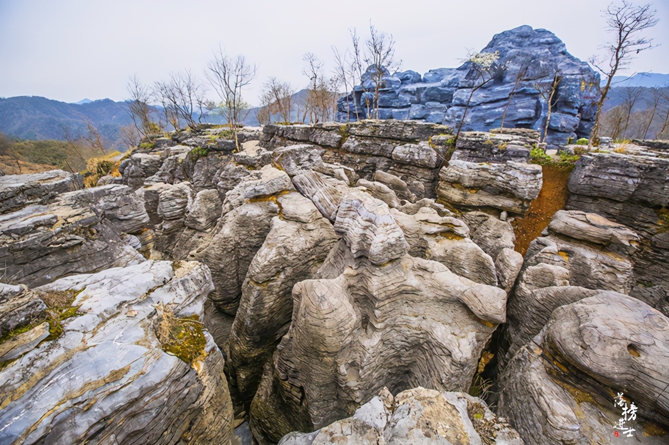 黄山西递古村落景点简介,黄山市西递古村落图片