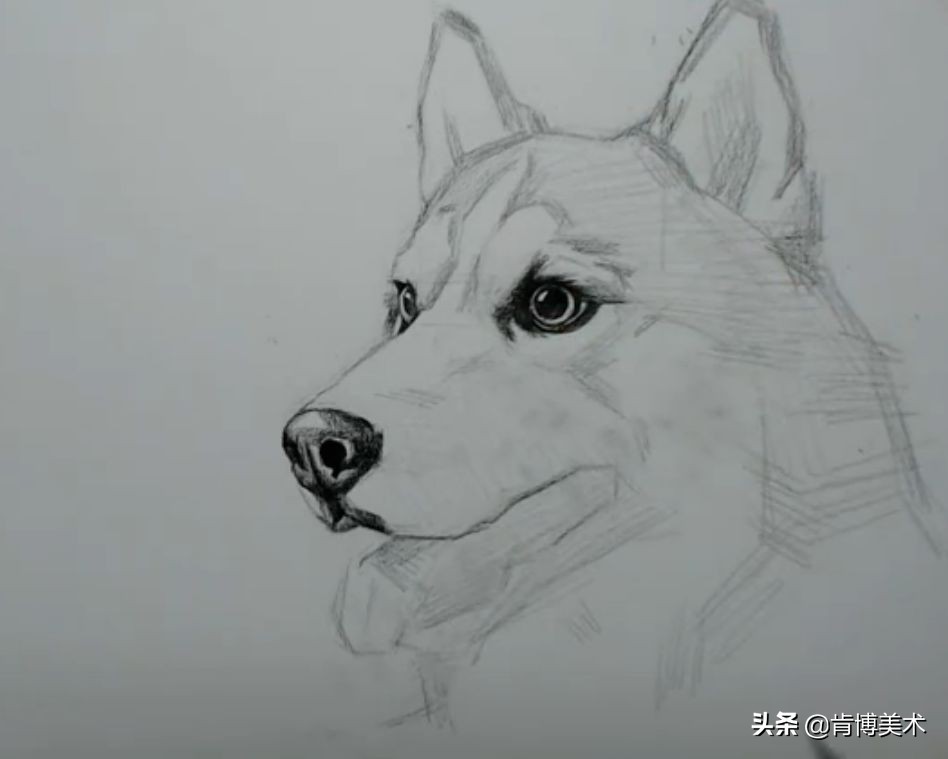 大触学画画,大触画师的简单素描