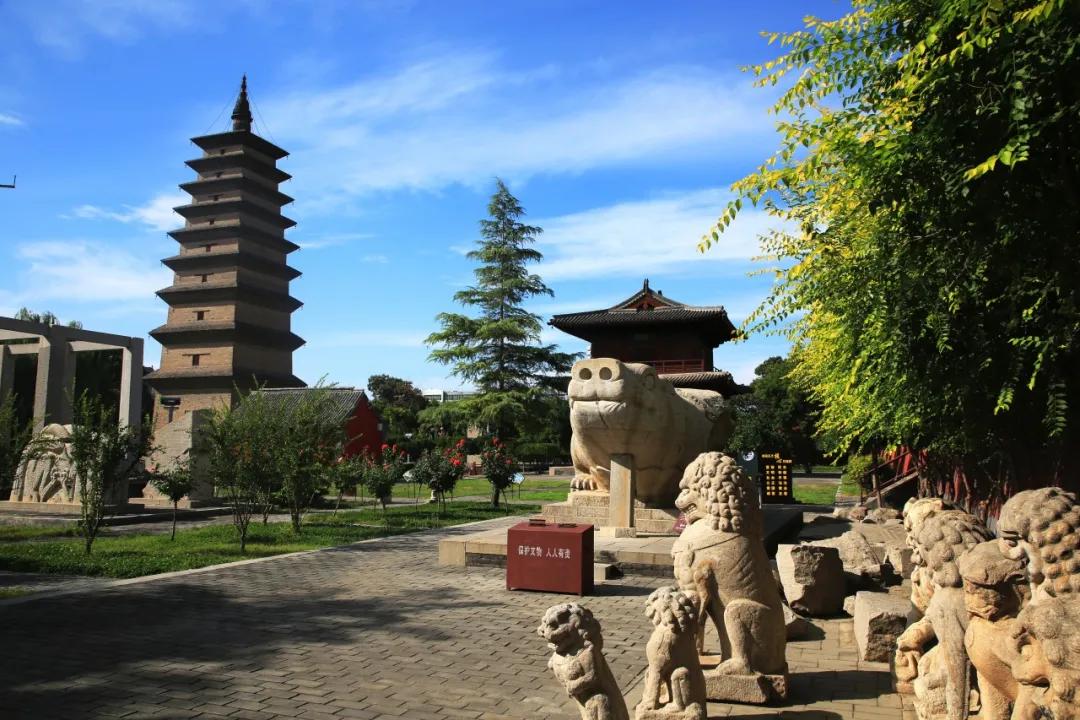 剪一段时光诉说一季的风景,剪一段时光诉说游走的风景