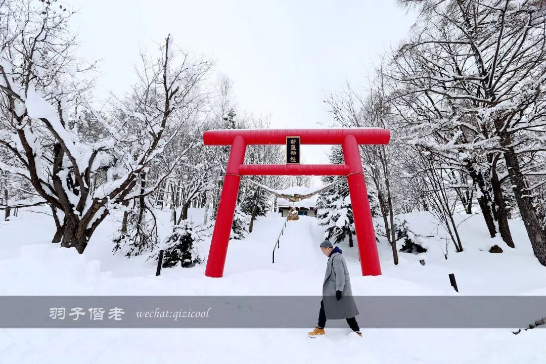 老实说，这一趟北海道就是为了拍好看的照片去的