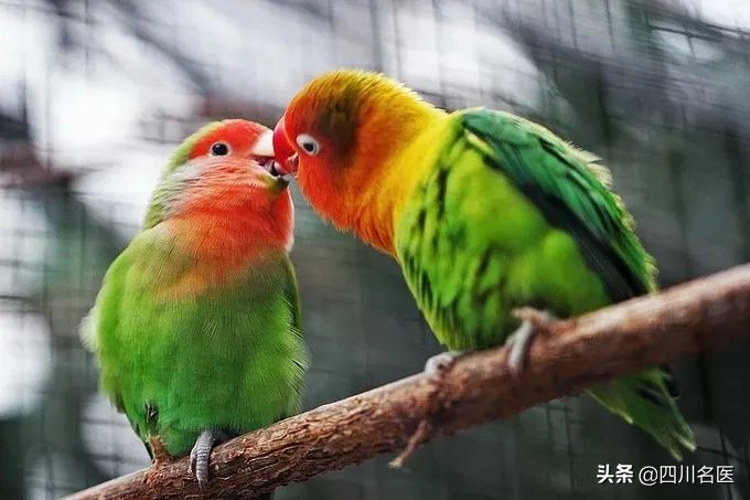 男朋友的口水“有毒”？亲热一番乳房肿了，接个吻变成猪头…我太难了