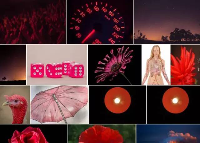 治愈正能量视频素材无水印无版权,免费高清图片素材网站