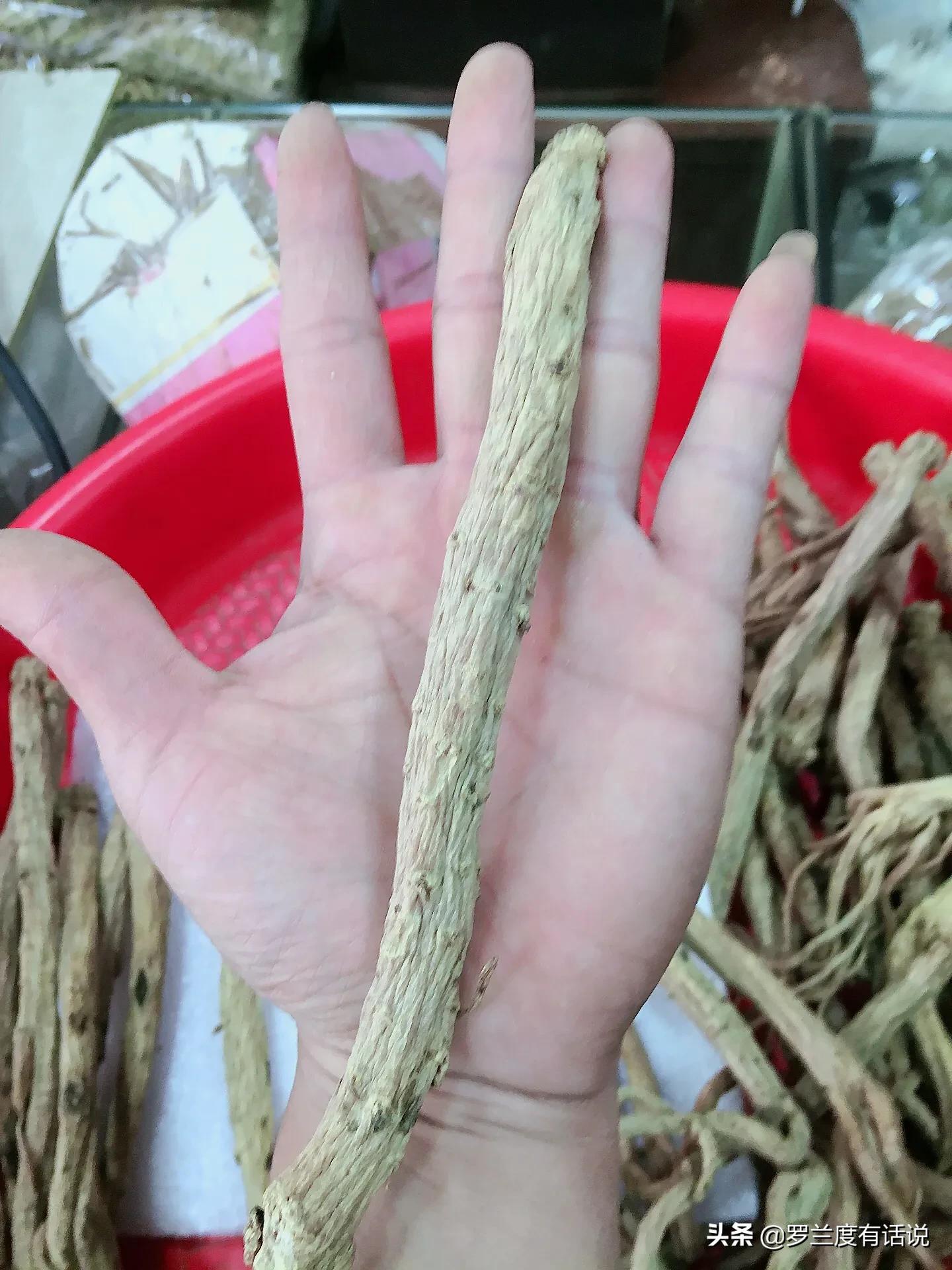 党参怎么选才是最好的,党参怎么选