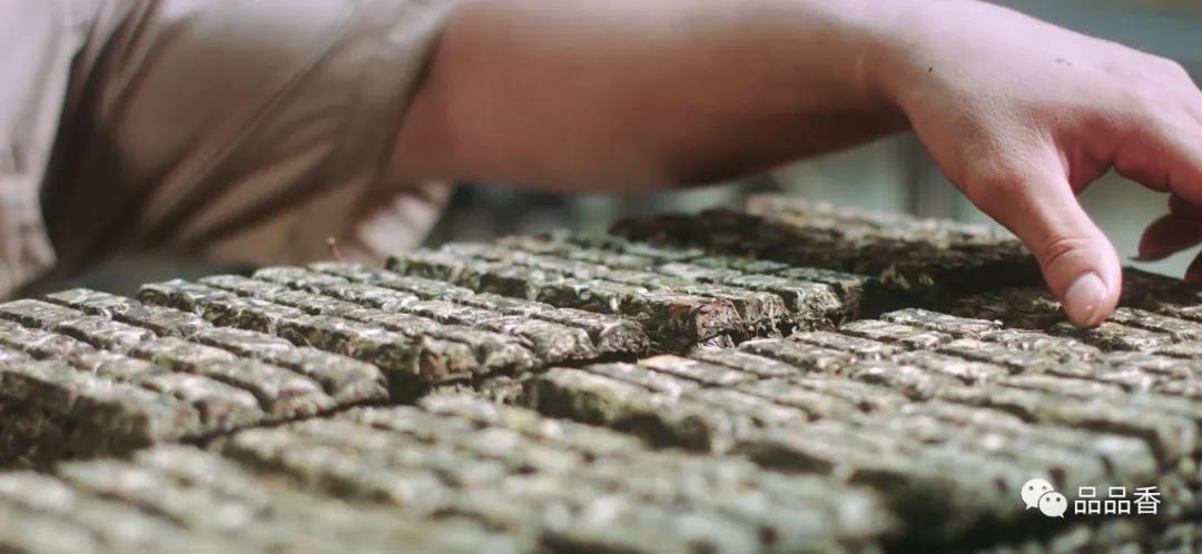 今天，晒白金老白茶也要“高考”了