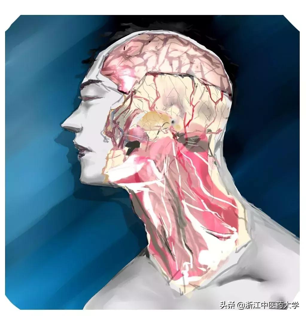 Amazing怎么写,wonderful怎么画