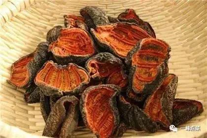 海参十大产地排名,国外十大海参官方排名