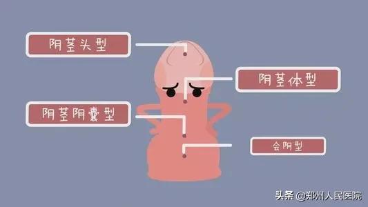 “丁丁”与众不同？这可能是一种病！得治