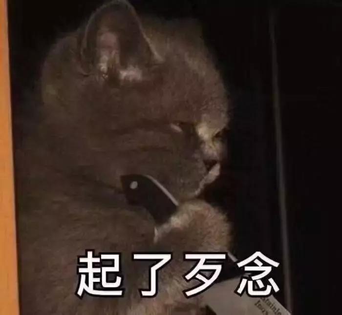 养了好多年的猫突然怕我,养了五年的猫很想把它扔了