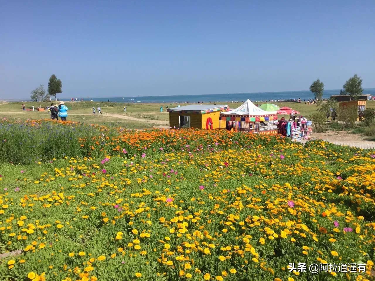 青海湖旅游小环线攻略路线推荐,暑假青海湖三日游旅游攻略