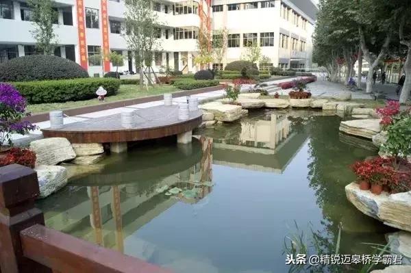 燕子矶新添高颜值网红学校，未来名校阵容堪比河西南！