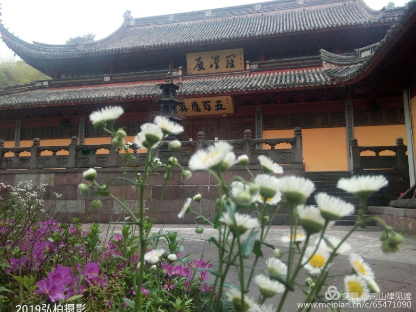 阿育王寺和白马寺,佛教阿育王简介