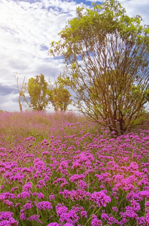 重庆到成都旅游怎么玩,重庆游两江攻略