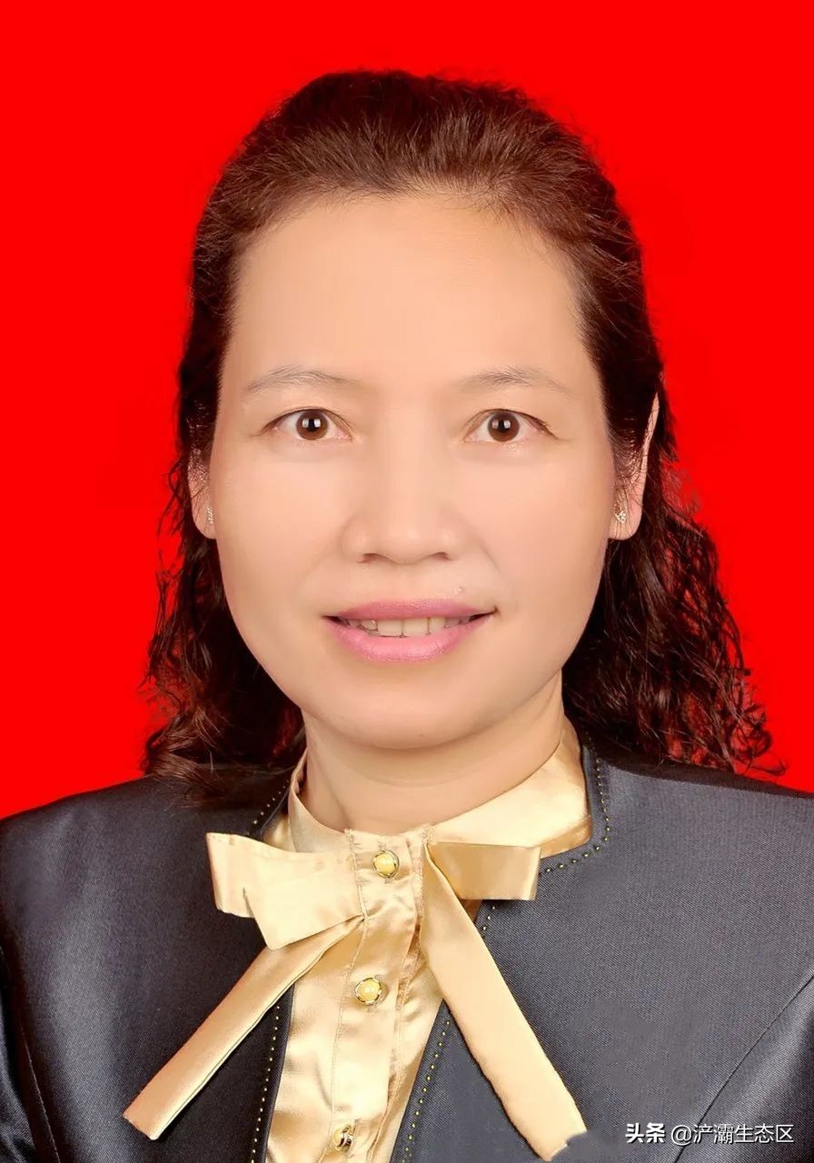 家门口的好学校(十一):陕西师范大学绿地浐灞小学“名校+”教育联合体