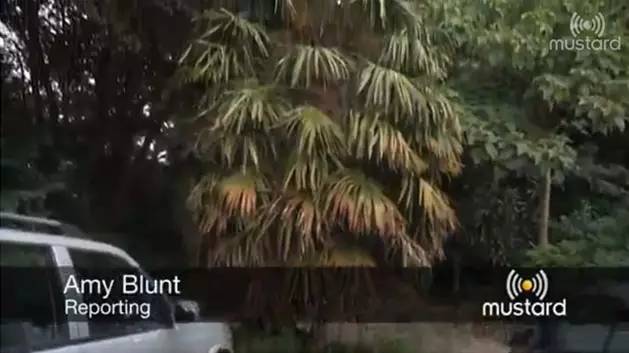 英国家庭花园建造,英国夫妇22年打造梦幻花园