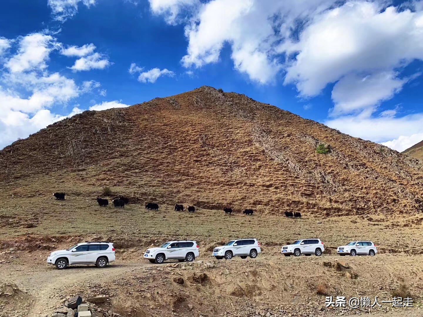 适合进藏自驾游的四驱越野suv,可以穿越川藏线的越野车推荐