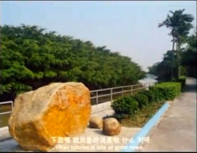 小鸟天堂真实现状,小鸟天堂后续怎样了