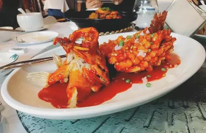 郑州适合20人聚餐的饭店 (郑州适合10-20人聚餐的地方)