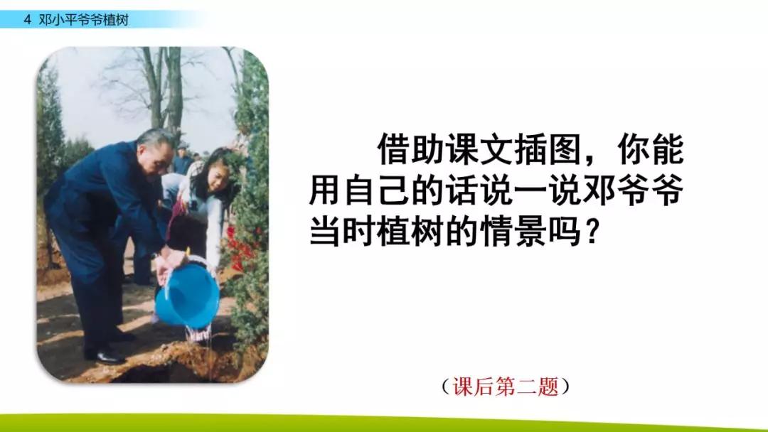 部编版二年级下册语文第4课《*小平邓**爷爷植树》知识点+图文讲解