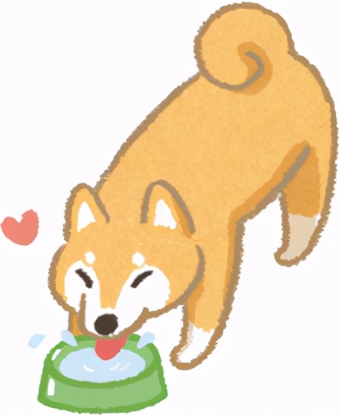 狗狗便秘一招通便,狗狗呕吐便秘怎么办