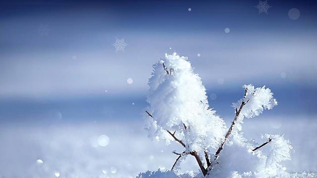 别人怎样看待你,别人如何看待自己