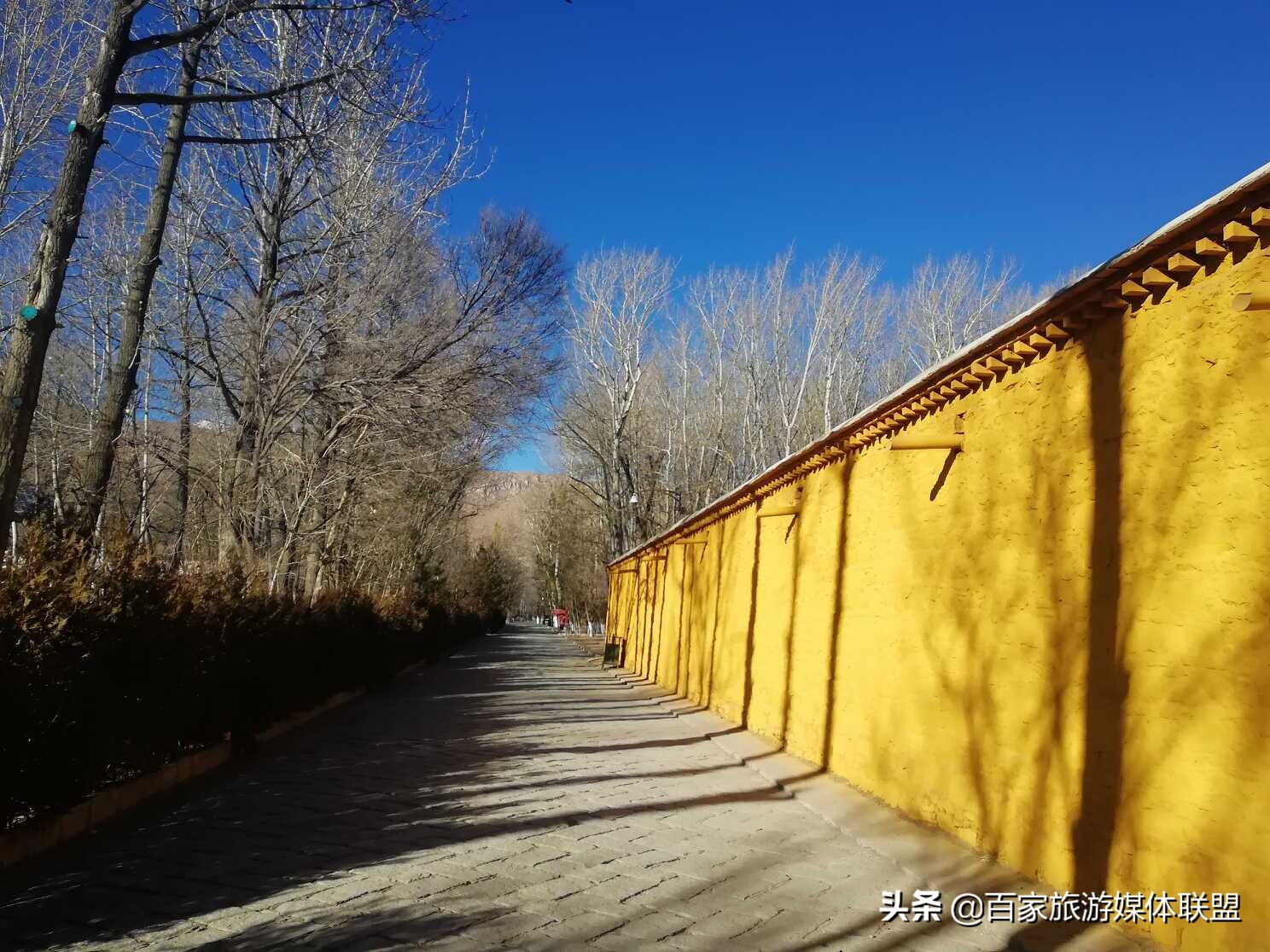 布达拉宫和罗布林卡的区别,罗布林卡和大昭寺
