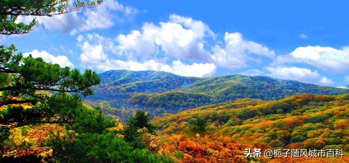 哈尔滨市下辖多少个县,黑龙江省哈尔滨市辖区