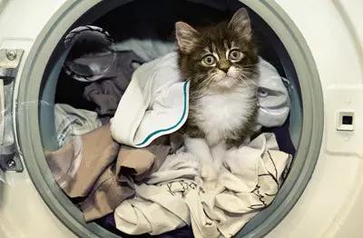 洗衣店洗羽绒服正确方法,如何洗羽绒服比洗衣店还干净