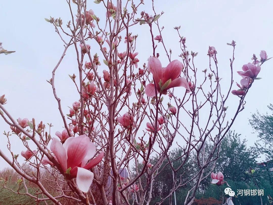 娌抽挗閭挗閾佽矾,娌抽挗閭挗楂樼倝