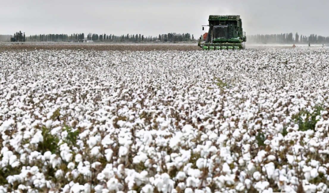 五菱发家史视频,五菱企业的发家史