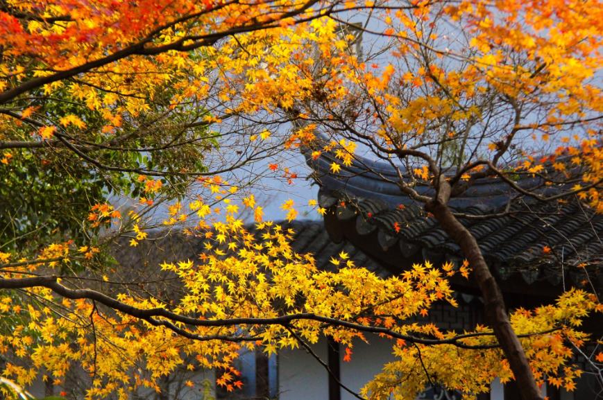 初冬最美诗词赏析,描写初冬的诗词大全