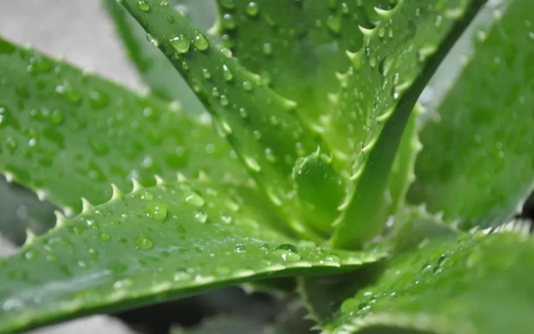 房间里湿气太重怎么办,房间湿气太重用什么除掉