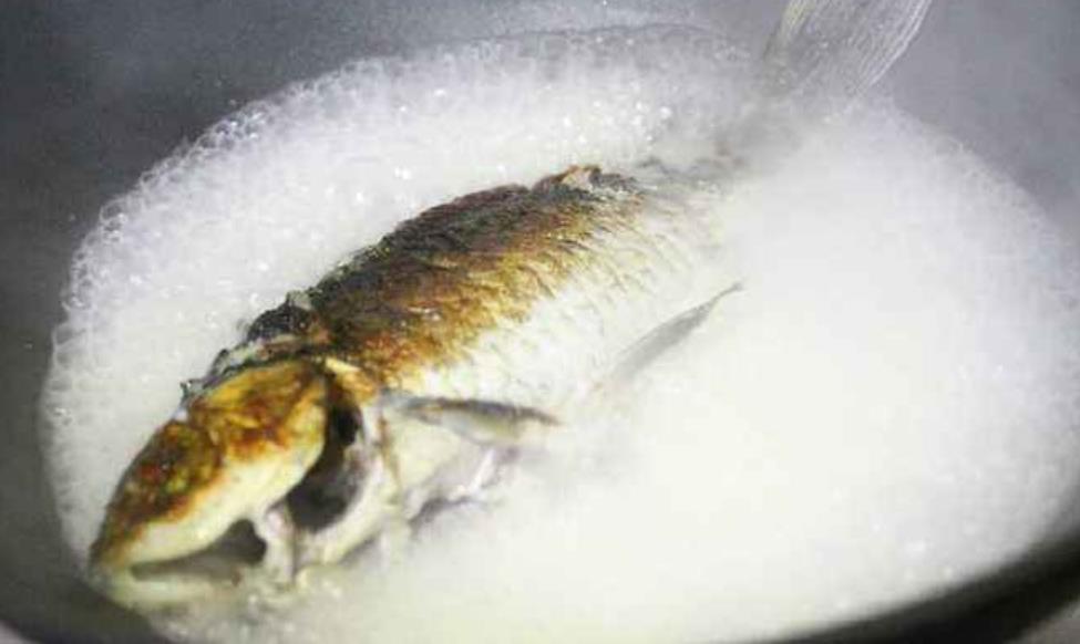 把鱼汤炖白只需要2个技巧,鱼汤怎样炖会炖成奶白色
