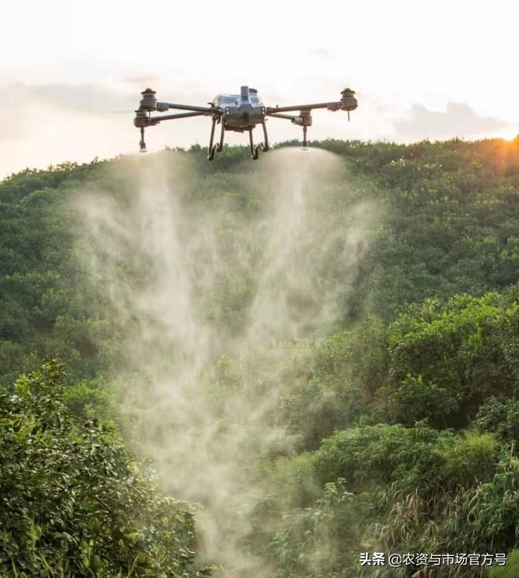 果树发展趋势和前景,我国果树的发展现状及趋势