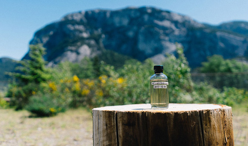 四个初中课本反应方程,大幅降低CO2捕获成本