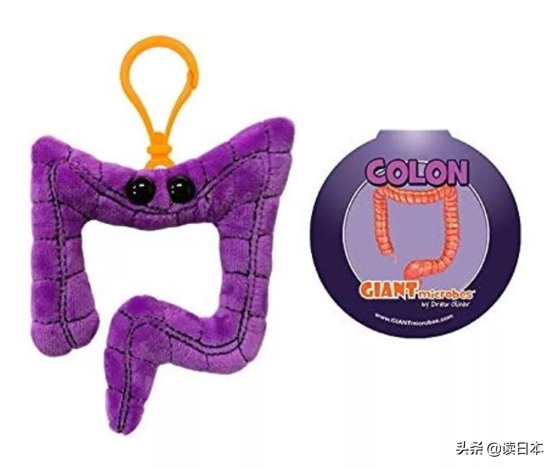 “*体器人官**”挂件或成为日本最新潮流?网友:我的钱包又要哭了