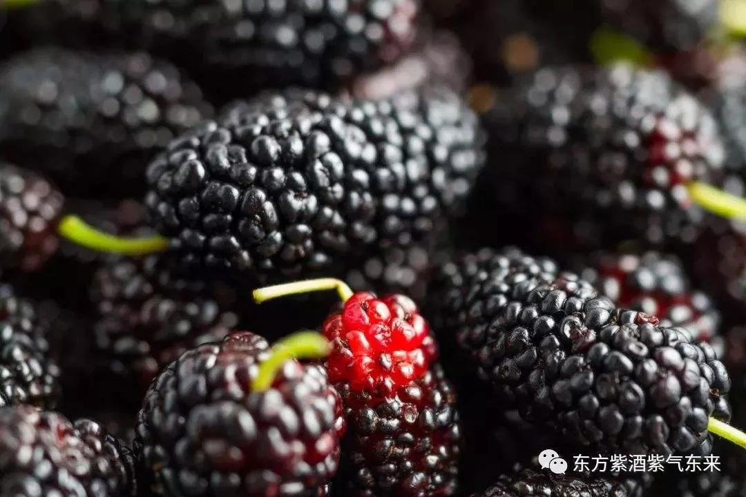 喝中国红酒下一句,喝中国茶