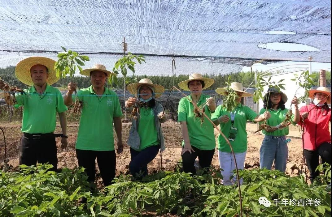 国大药房头条事件,国大药店事件