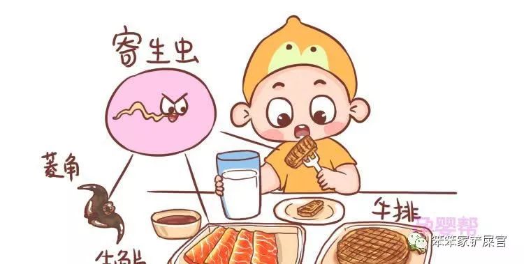 自制猫粮为什么软便,猫咪吃猫粮好还是自制的好