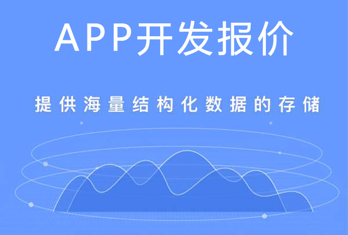 武汉app定制开发公司,小程序app定制开发系统报价