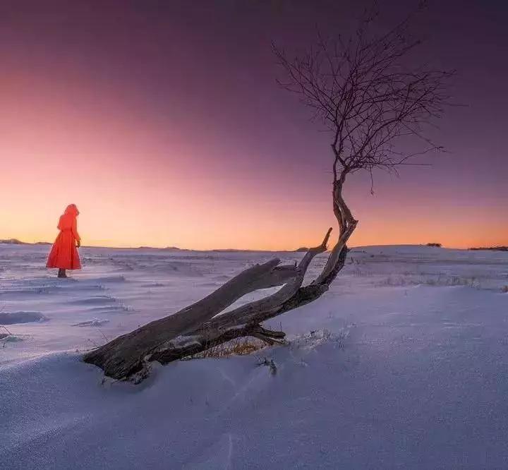 远离低级虚伪老实人,远离低级老实人图片