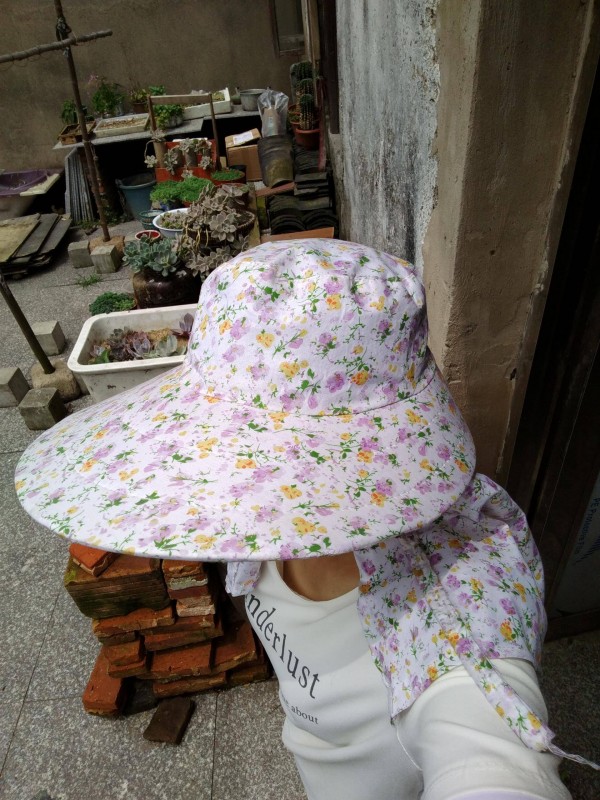 适合栽在庭院的多肉,庭院地栽多肉设计