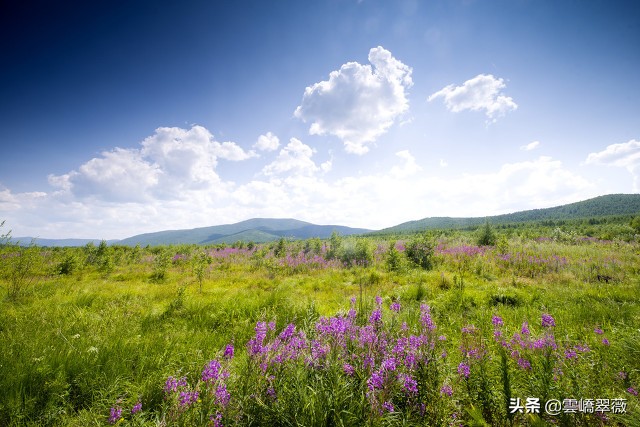老婆不在家的日子才是好日子,老婆不在自己身边的日子