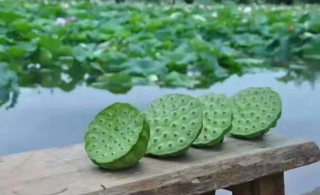 微山湖新鲜莲蓬采摘,微山湖旅游攻略美食