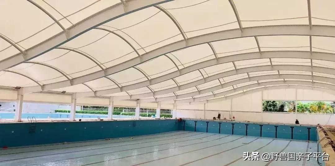 东莞哪里适合小孩子游泳冬天,暑假最适合学习游泳的地方